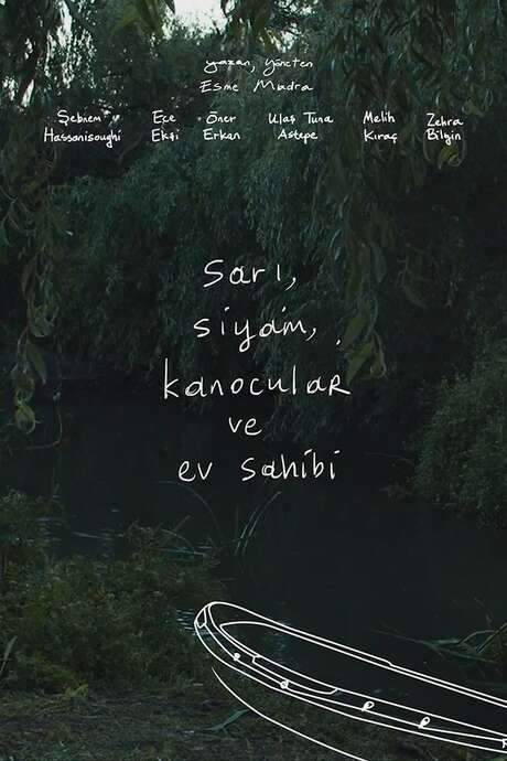 The Yellow, The Cat, The Kayakers and The Host